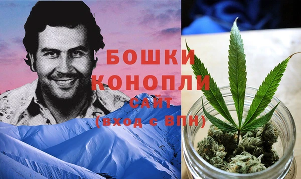 кокс Покачи