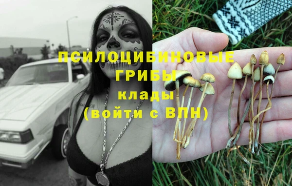 первитин Покровск