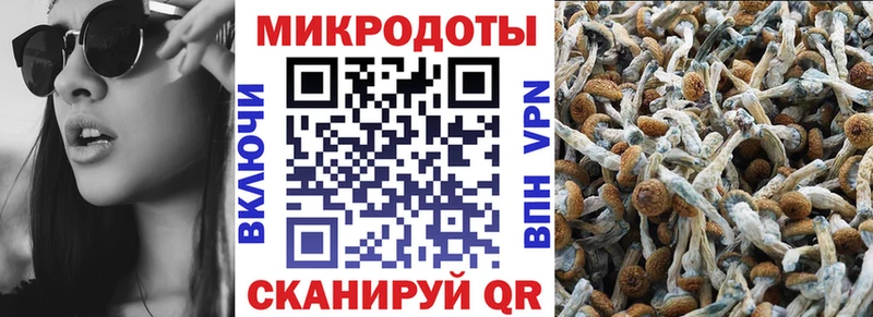 наркошоп  Сергач  Псилоцибиновые грибы Psilocybine cubensis 